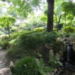 BZ Praha-Troja Japonská zahrada